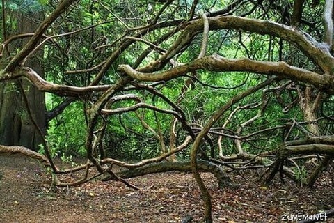 515c0ba9ef507f37039a3c97b1368bde