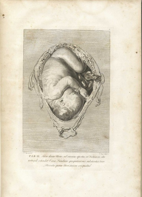 20120614010007_273_18