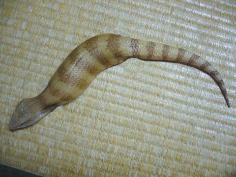 20130113235926_42_1