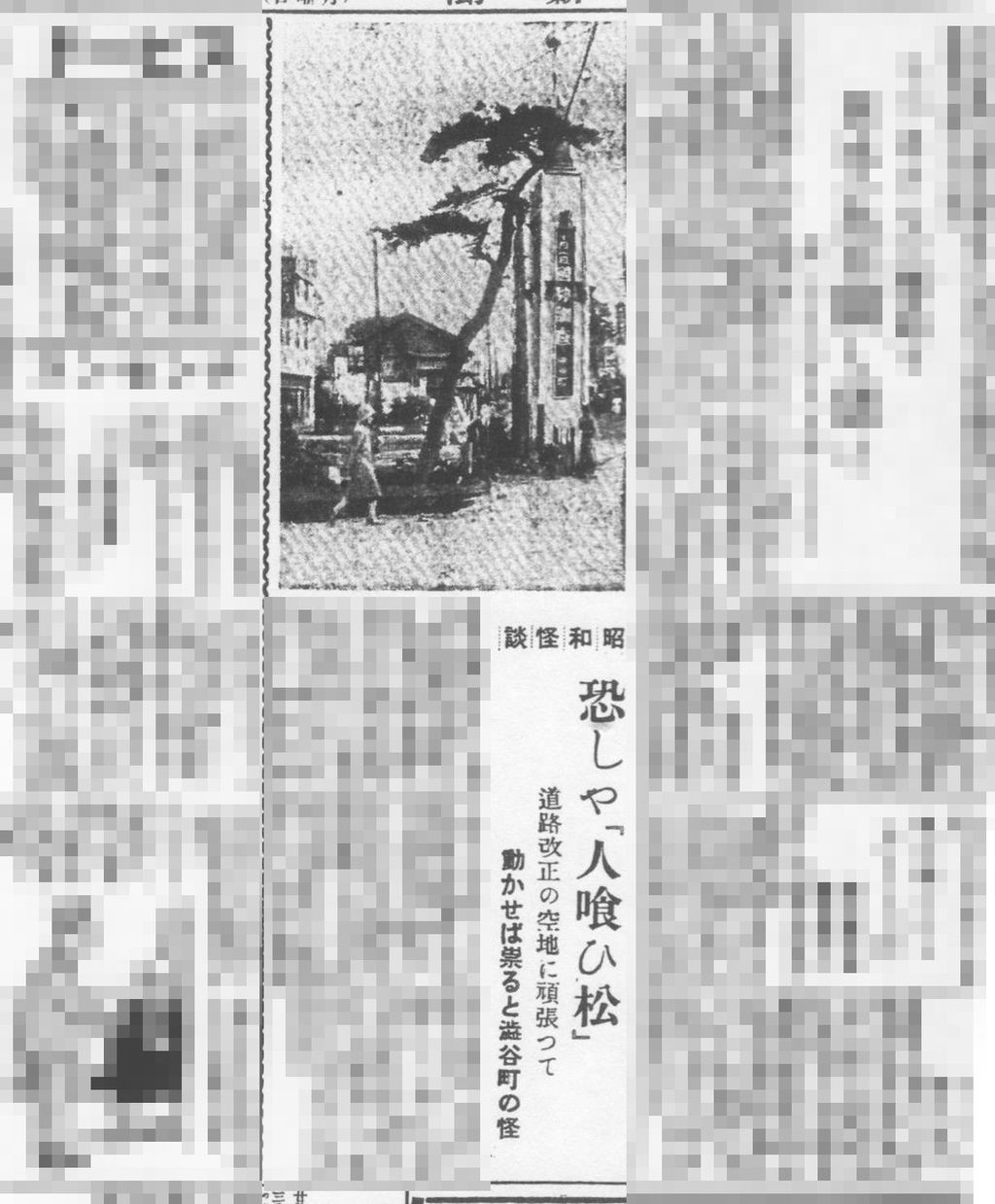 昭和の怪奇事件 実在した呪いの 人喰い松 不思議 Net 昭和の怪奇事件 実在した呪いの 人喰い松 不思議 Net