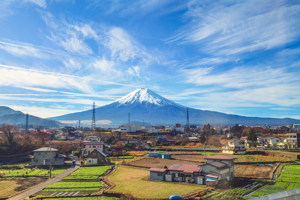 shutterstock_548504410