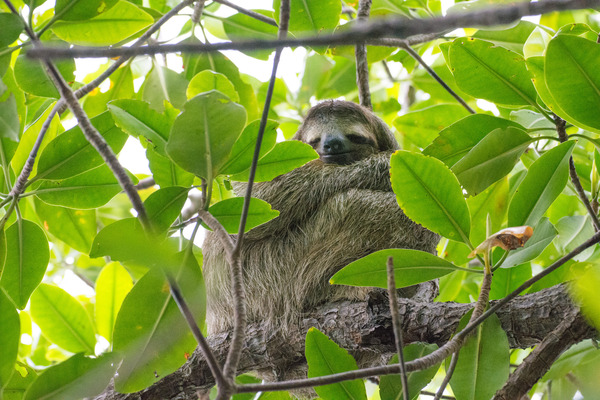 MIYAZAKIDSC_0434_TP_V