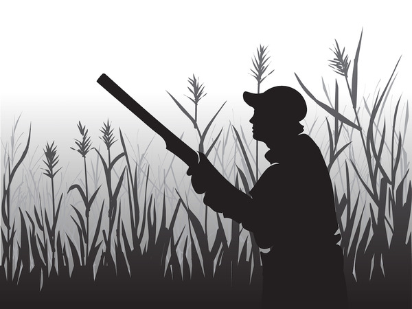 shutterstock_1250659945