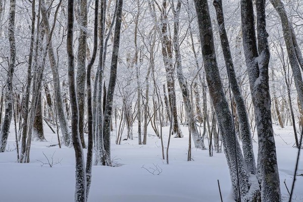 yudai_0123A008_TP_V4