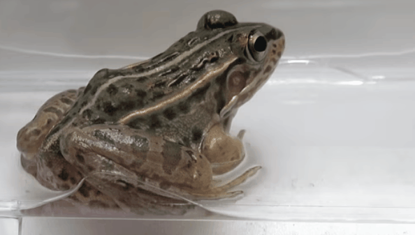 8d4e53943480afed24387169a5f15f48