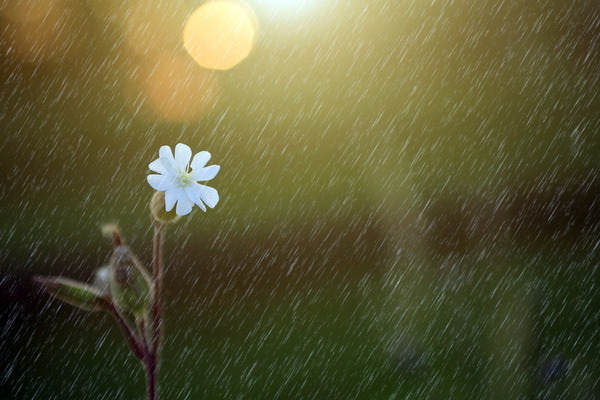 shutterstock_167595140