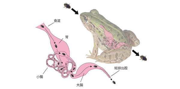 345f3ad17b18c8ba435735a545a599d5