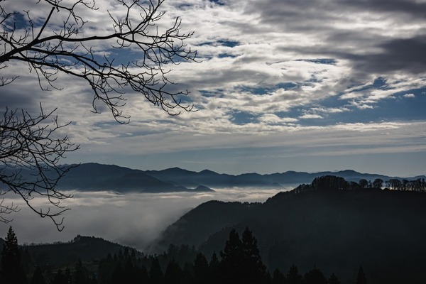 togakureDSC_87700177_TP_V4