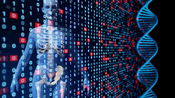 shutterstock_1179767458