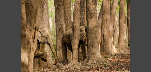 P3IRN1M9OSTRB018-pad825x396xx444x