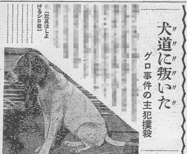 読売新聞1月29日