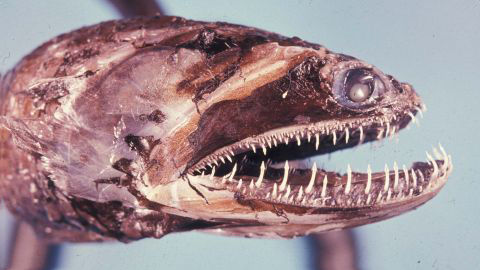 20111210165854_102_1