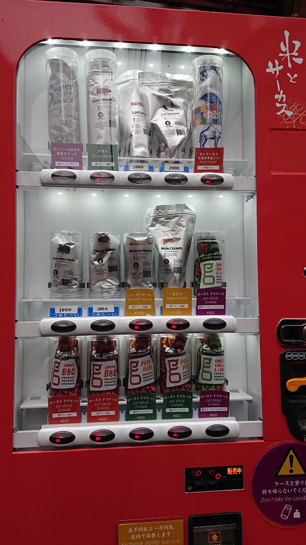 DSC_0228