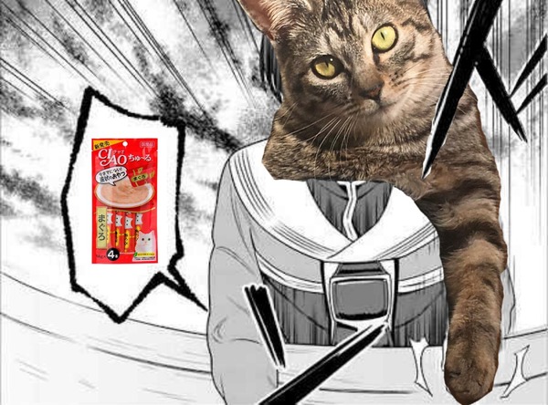 no title
