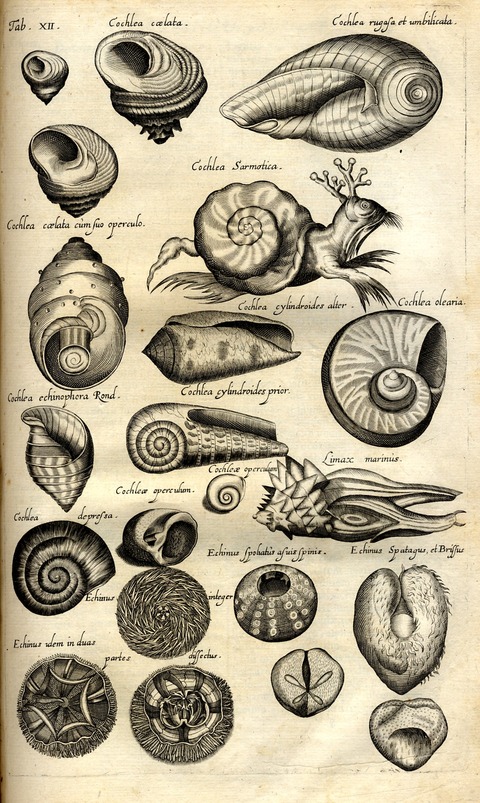 20120614010007_274_20