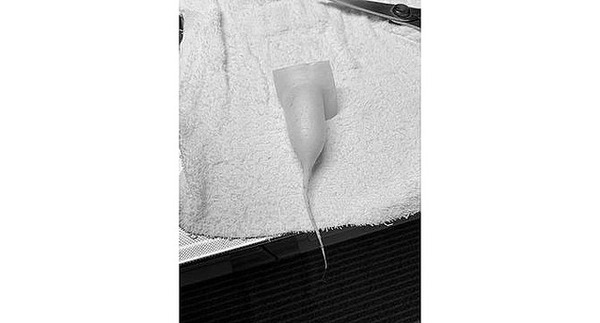 96ff9_1460_b674534e4290cd48f0fe9ebdf1ea309c