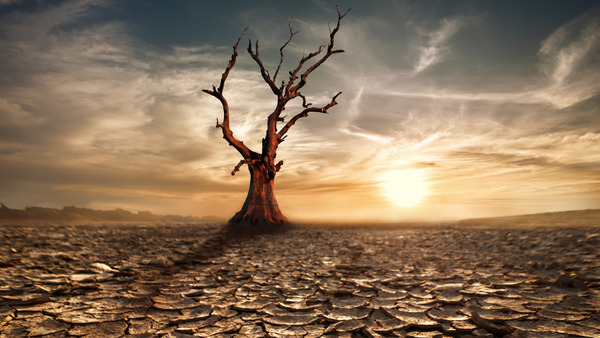 shutterstock_183052871