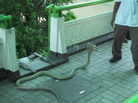 20111212104502_140_1