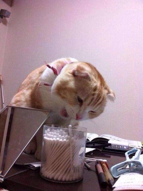 no title