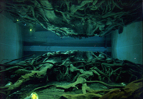 20111030002358_80_1