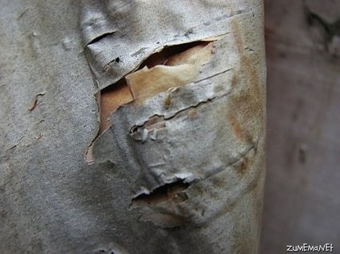 1eed6adce5e018f4a800ef74c70aae24