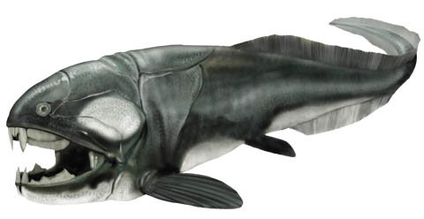 古代生物がデカ過ぎてwktkがとまらんwwwwwwwwwwww 不思議 Net 古代生物がデカ過ぎてwktkがとまらんwwwwwwwwwwww 不思議 Net