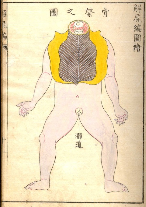 20120614010007_273_23