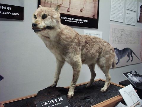 20130113235926_37_1