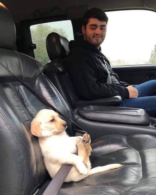 no title