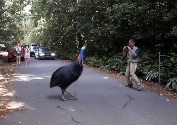 no title
