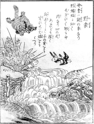 SekienNobusuma