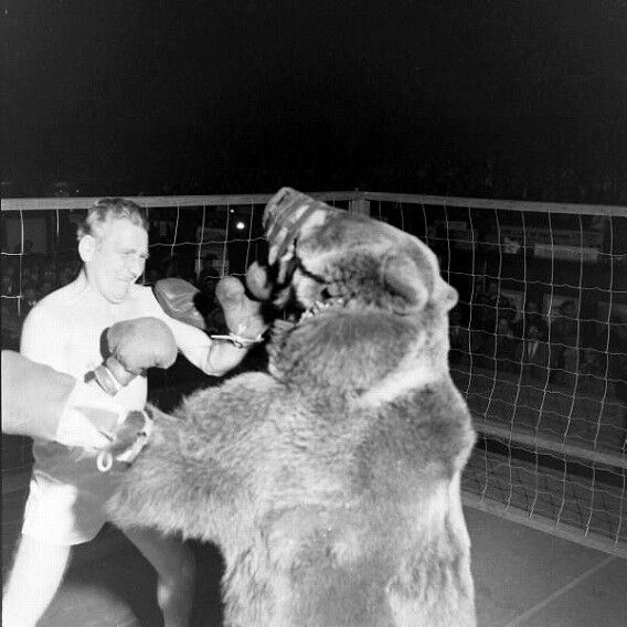 獣害】「日本のクマの事件で一番やばいのは三毛別羆事件」←これ 