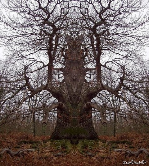 e8d81b8c6f8beb0af7e5c28d034e8f8f