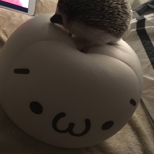 no title
