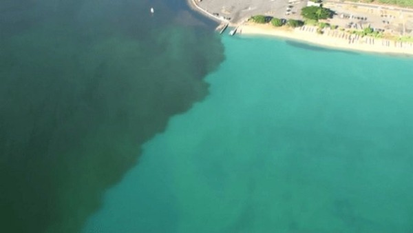 Honolulu-molasses-spill-2013