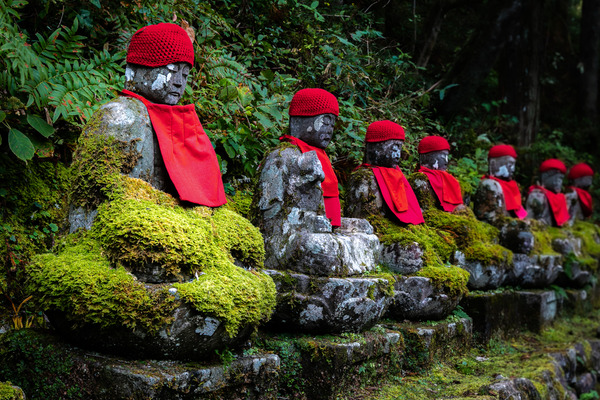 shutterstock_1418020775