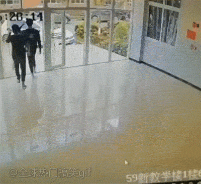 Gif 海外のgifだいたい面白いwwwwwwwwww 不思議 Net Gif 海外のgifだいたい面白いwwwwwwwwww 不思議 Net