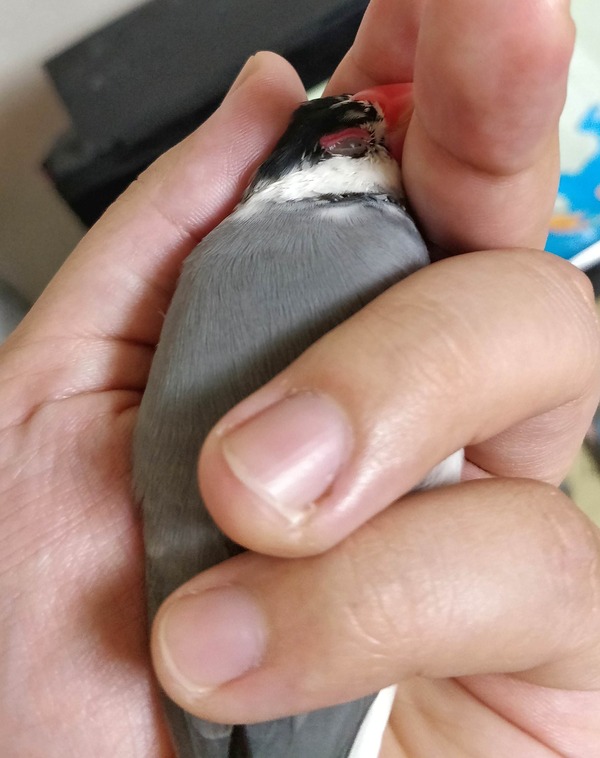 no title