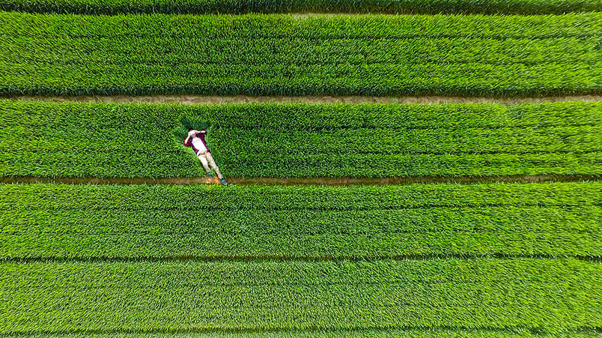 南極の氷の下に、渓谷や山脈などの信じられないような風景がマッピングされています。