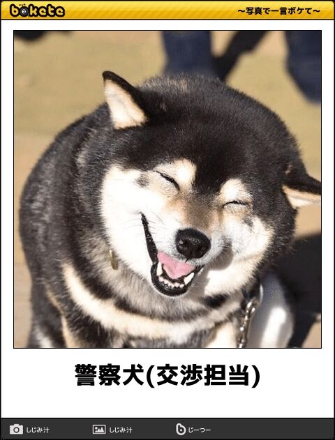 ボケて史上最強の作品wwwwwwwwwww 不思議 Net