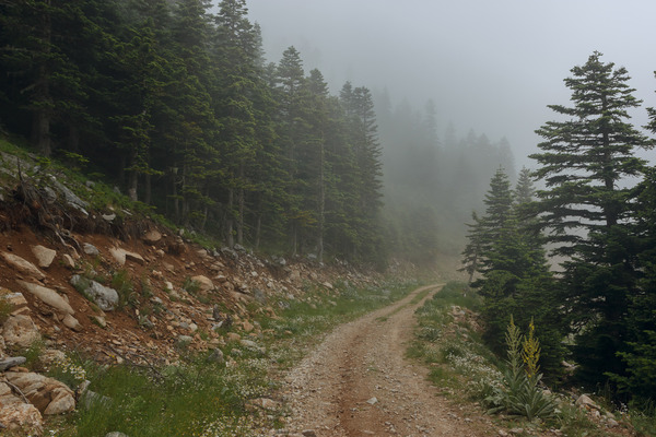 shutterstock_215813230