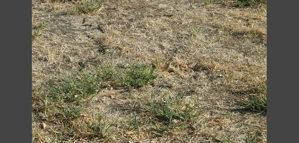 O896SV3CVIQGFMGU-cp37x3x736x430-pad825x396xx444x