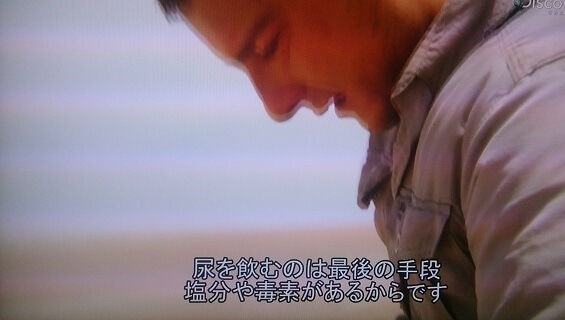 閲覧注意 ベア グリルスとかいう頭のネジが外れてるオッサンｗｗｗｗｗｗｗｗ 不思議 Net