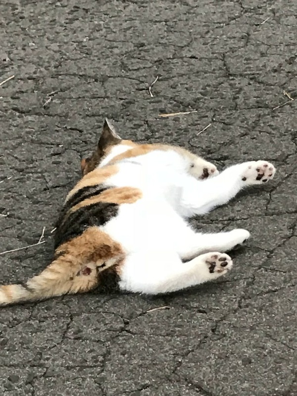 no title