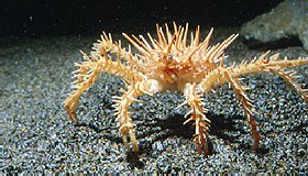 20111210165854_102_4