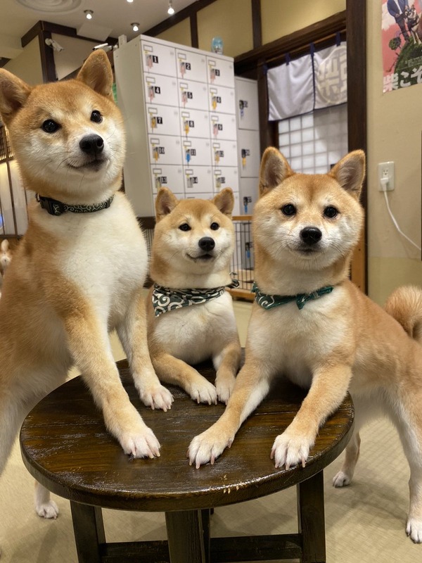 no title