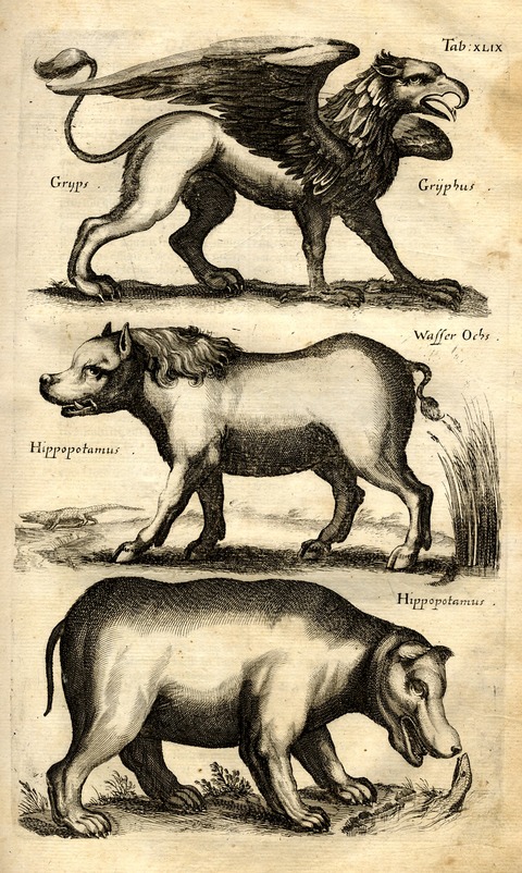 20120614010007_274_21