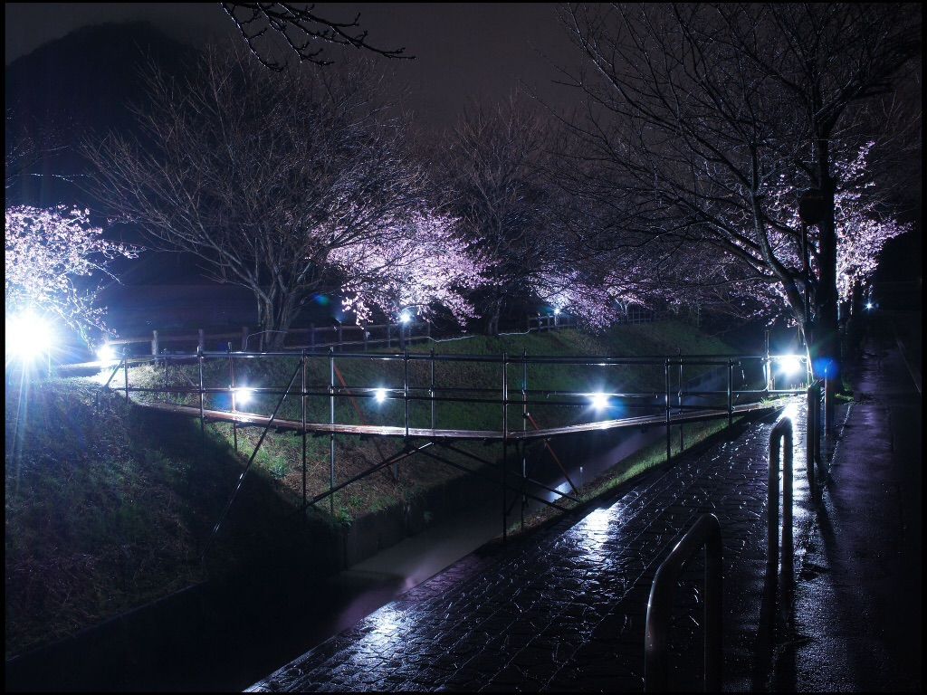 お前らいま俺の心は荒んでるからこういう画像貼ってください 不思議 Net お前らいま俺の心は荒んでるからこういう画像貼ってください 不思議 Net