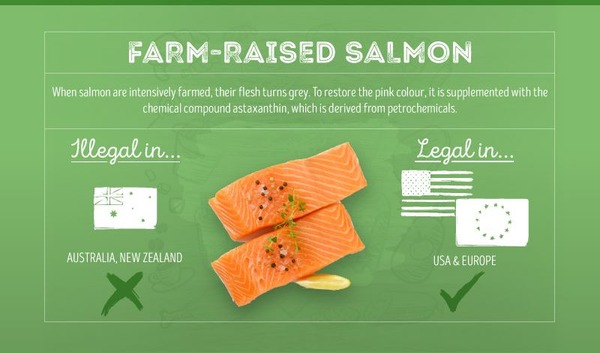 aliments-bannis-7