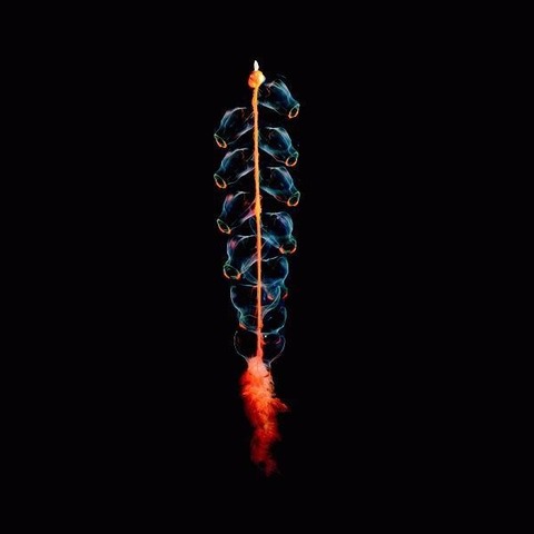 20111210165854_94_11